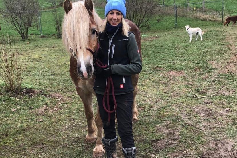Haflinger-Stute Elly mit Tati